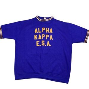 Vintage Champion Washington Huskies Alpha Kappa E.S.A 70s/80s sweater